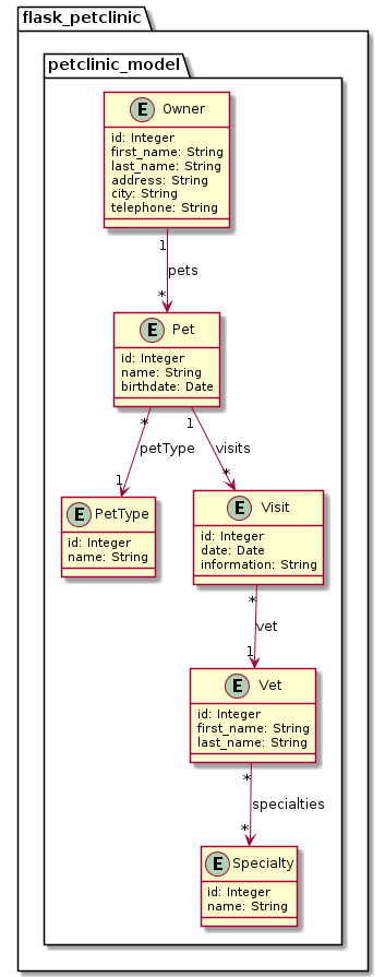 Entities_Petclinic